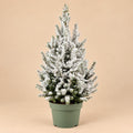 Kleine kerstboom Picea glauca Conica met witte kunstsneeuw in een groene kweekpot tegen een beige achtergrond.