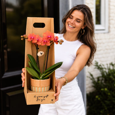Vrouw bij de voordeur met een oranje Bolzano orchidee in Bold sierpot, verpakt in een kartonnen giftbox met draagopening.