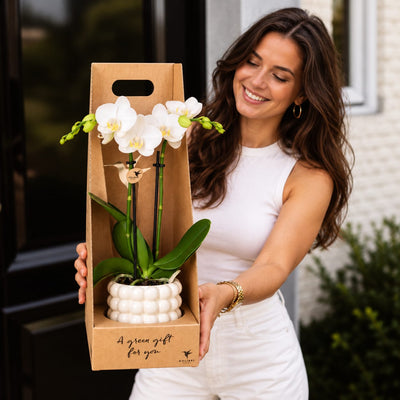 Vrouw bij de voordeur met een witte orchidee in een geribbelde crèmekleurige sierpot, verpakt in een kartonnen giftbox.