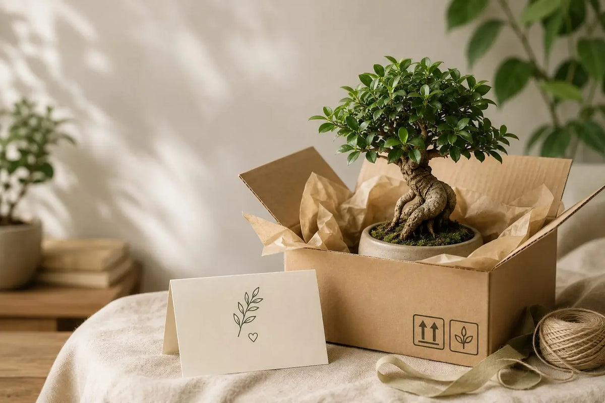 Betekenisvolle plantcadeaus, eenvoudig gekozen