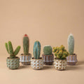 {{ product.title }} | Flora Cadeau