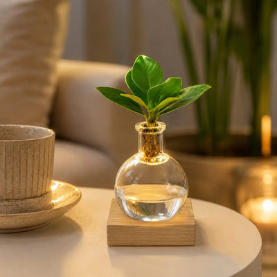 {{ product.title }} | Flora Cadeau