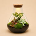 {{ product.title }} | Flora Cadeau