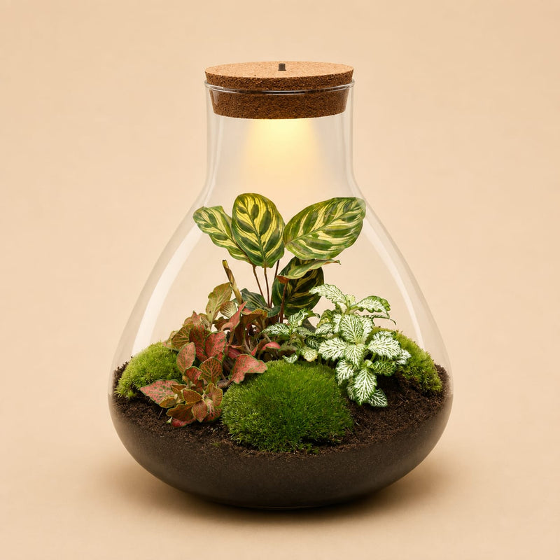 {{ product.title }} | Flora Cadeau