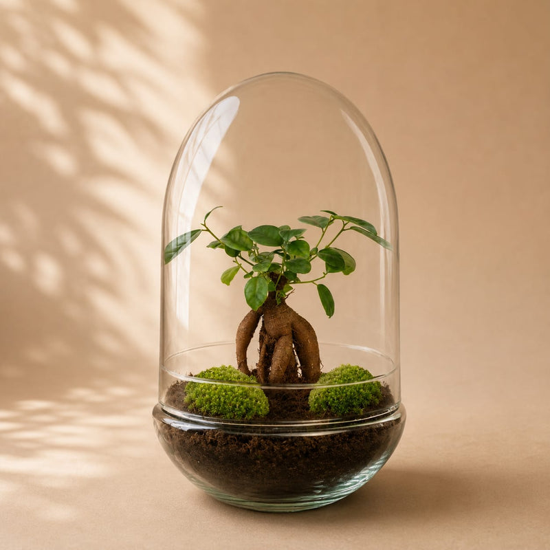{{ product.title }} | Flora Cadeau
