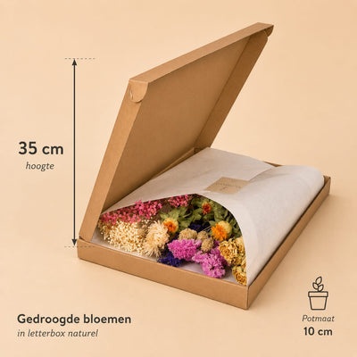 {{ product.title }} | Flora Cadeau