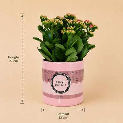 {{ product.title }} | Flora Cadeau
