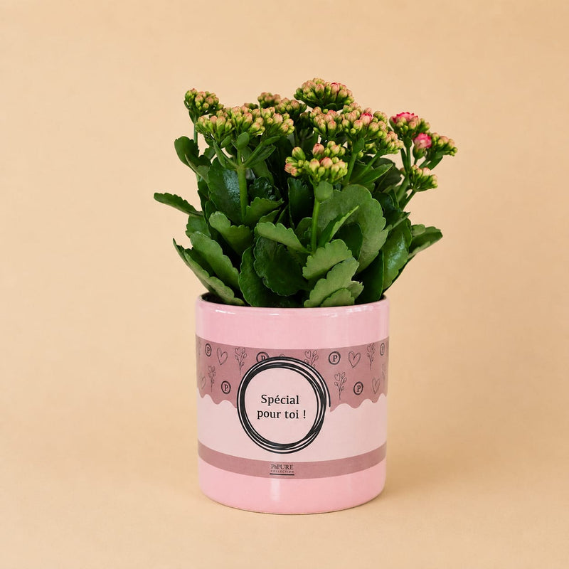 {{ product.title }} | Flora Cadeau