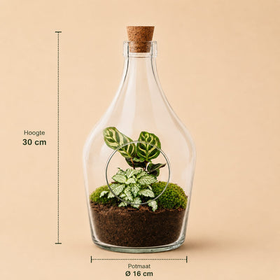 {{ product.title }} | Flora Cadeau