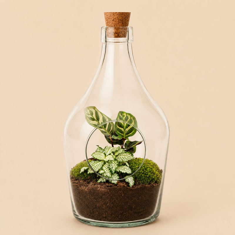 {{ product.title }} | Flora Cadeau