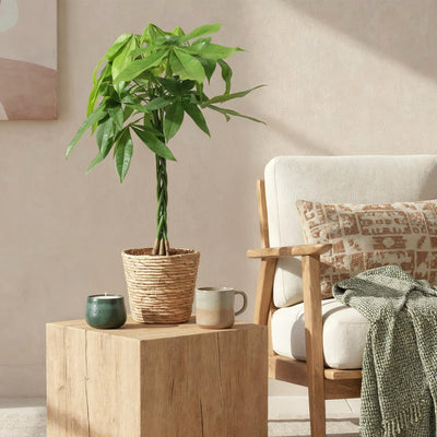 {{ product.title }} | Flora Cadeau