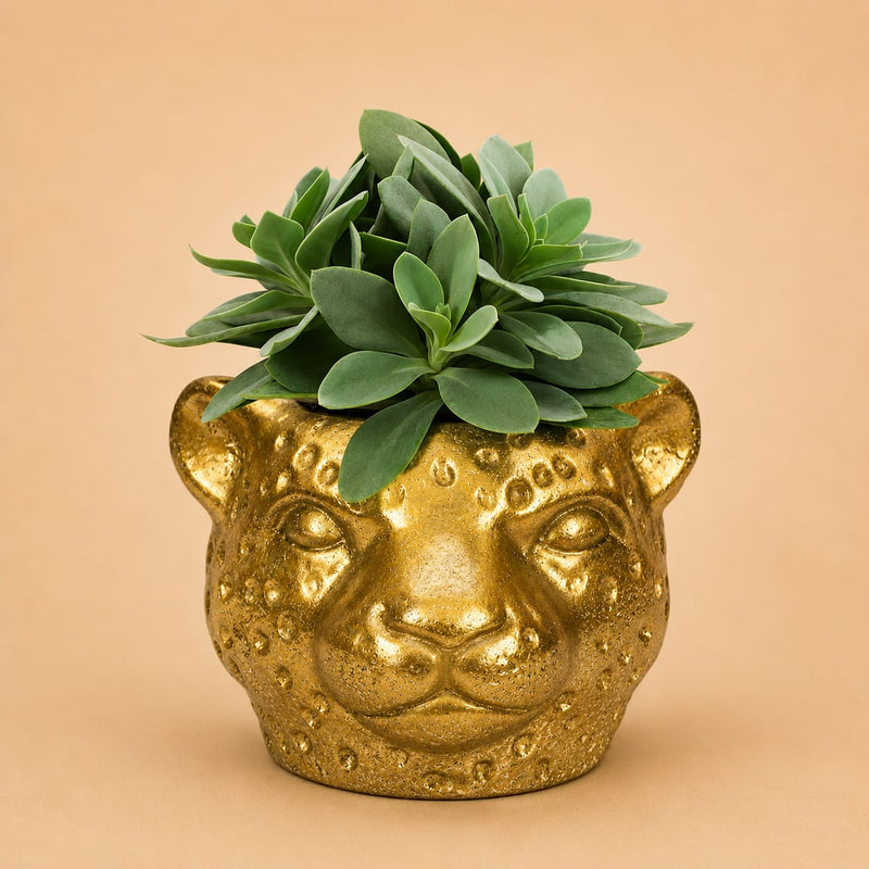 {{ product.title }} | Flora Cadeau