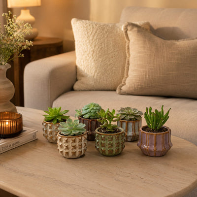 {{ product.title }} | Flora Cadeau
