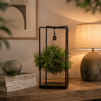 {{ product.title }} | Flora Cadeau