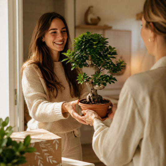 De 7 mooiste planten voor een nieuwe woning - Flora cadeau