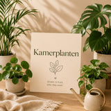 Kamerplanten