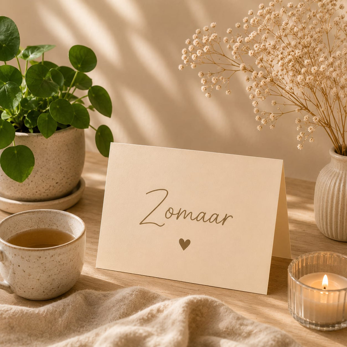 Zomaar een plant cadeau geven — kamerplanten als verrassing - Flora cadeau