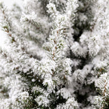 Close-up van de takken en naalden van de Picea glauca Conica bedekt met witte kunstsneeuw.