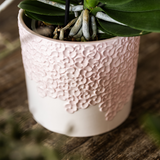 Detail van de roze Bloom sierpot met reliëf en de wortels van de orchidee