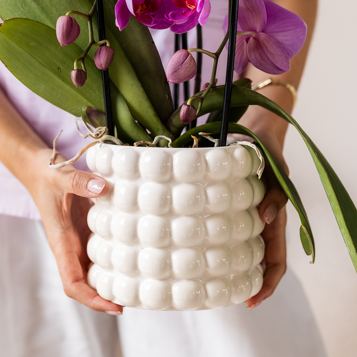 Handen houden een witte Poppy sierpot met bolletjesreliëf vast, gevuld met een paarsbloeiende orchidee.
