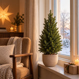 Kleine kerstboom Picea glauca Conica in een vensterbank. 