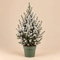Kleine kerstboom Picea glauca Conica met witte kunstsneeuw in een groene kweekpot.