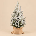 Kleine kerstboom Picea glauca Conica met witte kunstsneeuw in een naturel jute zak.