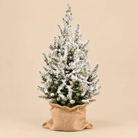 Verpakking — Kerstboom Picea glauca Conica met kunstsneeuw in jute zak - 65 cm - Ø19