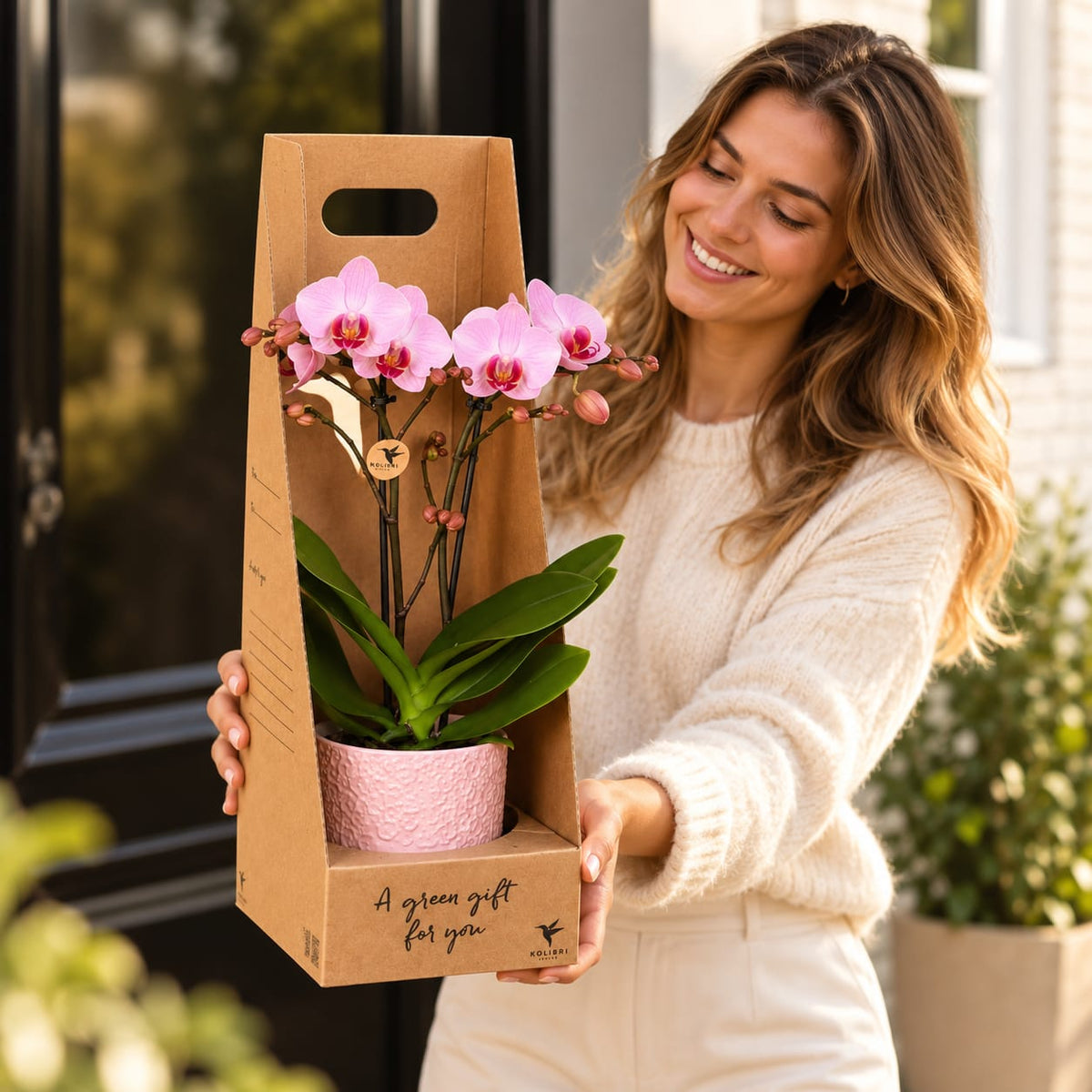 Vrouw houdt een roze Antwerp orchidee met Bloom sierpot in een giftbox vas