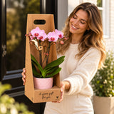 Vrouw houdt een roze Antwerp orchidee met Bloom sierpot in een giftbox vas