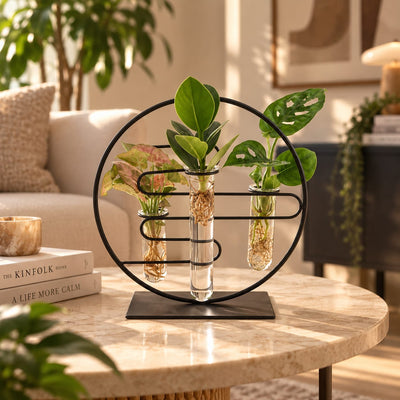 Kamerplanten Intenz Mix In Dubai 2.0 Glas - ↕25cm - Ø12cm -