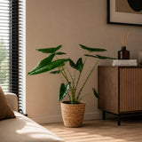 {{ product.title }} | Flora Cadeau