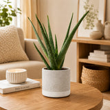 {{ product.title }} | Flora Cadeau