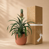 {{ product.title }} | Flora Cadeau