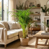 {{ product.title }} | Flora Cadeau