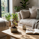 {{ product.title }} | Flora Cadeau