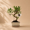 {{ product.title }} | Flora Cadeau