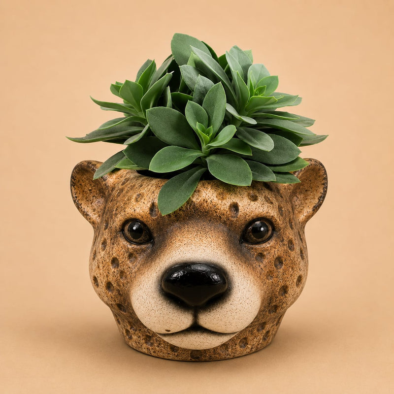 {{ product.title }} | Flora Cadeau
