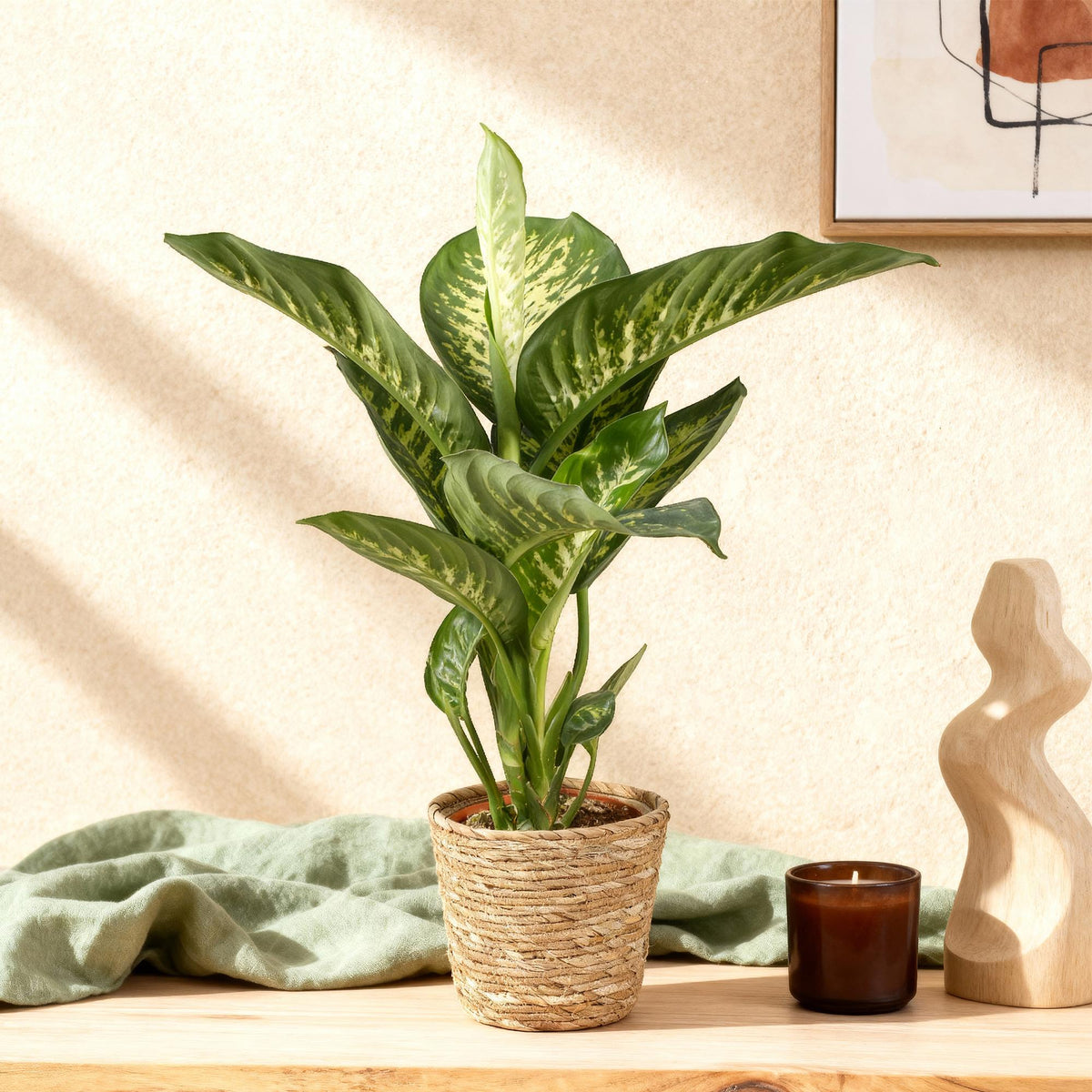 {{ product.title }} | Flora Cadeau