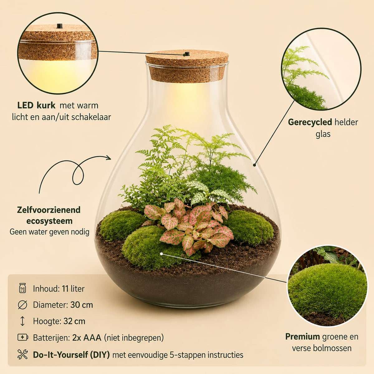 {{ product.title }} | Flora Cadeau