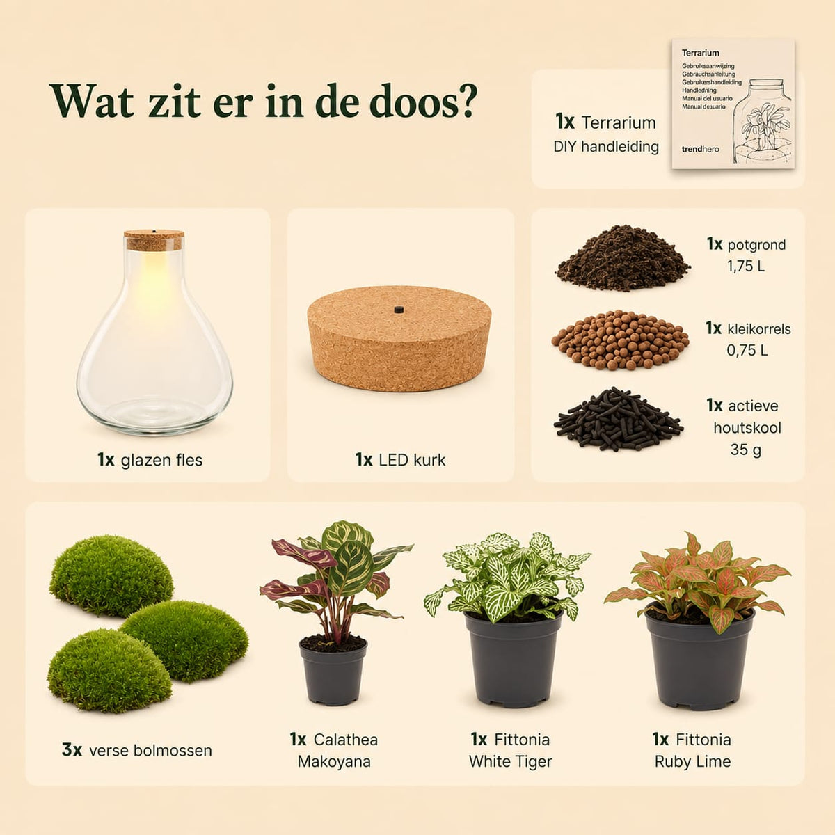 {{ product.title }} | Flora Cadeau