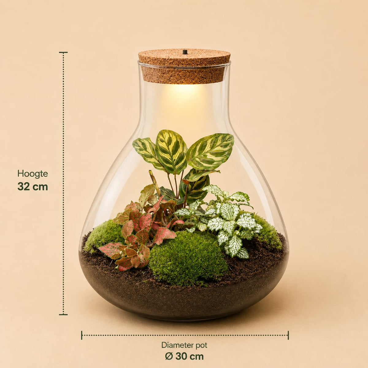{{ product.title }} | Flora Cadeau