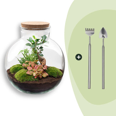 {{ product.title }} | Flora Cadeau