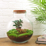{{ product.title }} | Flora Cadeau