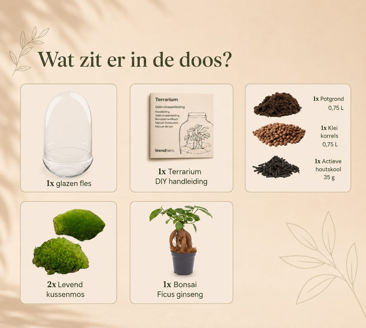 {{ product.title }} | Flora Cadeau