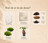 {{ product.title }} | Flora Cadeau