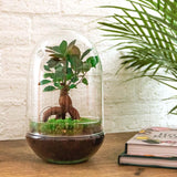 {{ product.title }} | Flora Cadeau