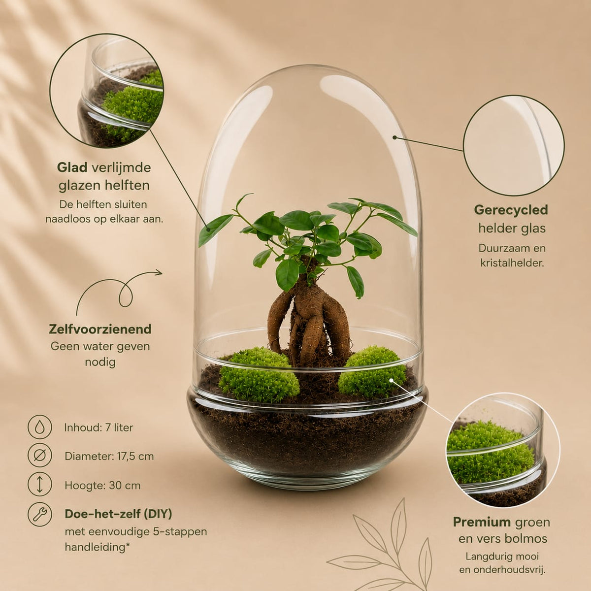 {{ product.title }} | Flora Cadeau