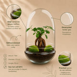 {{ product.title }} | Flora Cadeau