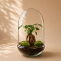 {{ product.title }} | Flora Cadeau